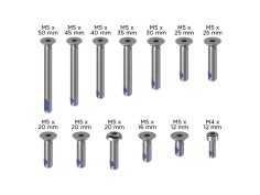 SET QUAD LOCK VITI DI RICAMBIO V2